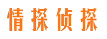 夹江外遇出轨调查取证